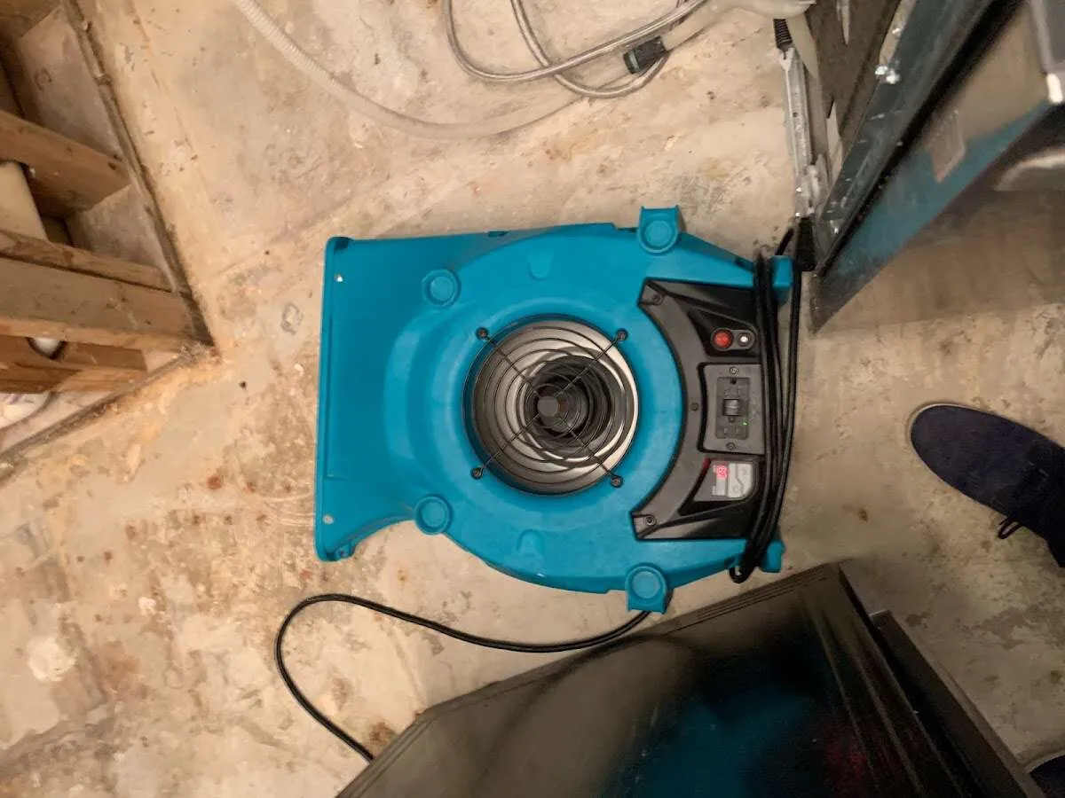 Air mover drying equipment for Mold Remediation & Removal in La Crescent